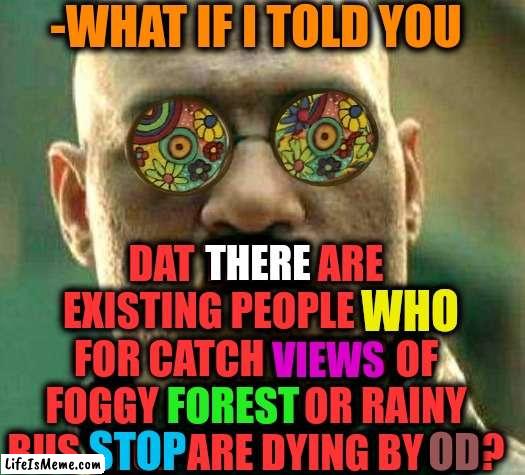 -Smartest stupidity. | -WHAT IF I TOLD YOU; DAT THERE ARE EXISTING PEOPLE WHO FOR CATCH VIEWS OF FOGGY FOREST OR RAINY BUS STOP ARE DYING BY OD? THERE; WHO; VIEWS; FOREST; STOP; OD | image tagged in acid kicks in morpheus,don't do drugs,heroin,overdose,bus stop,sunlit forest | made w/ Lifeismeme meme maker