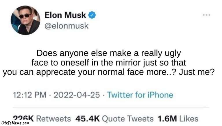 :,C | Does anyone else make a really ugly face to oneself in the mirrior just so that you can apprecate your normal face more..? Just me? | image tagged in elon musk buying twitter | made w/ Lifeismeme meme maker