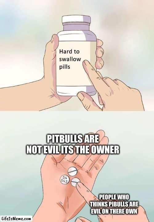 as a pitbull owner myself, my doggo is very nice when you get to know her... | PITBULLS ARE NOT EVIL ITS THE OWNER; PEOPLE WHO THINKS PIBULLS ARE EVIL ON THERE OWN | image tagged in memes,hard to swallow pills | made w/ Lifeismeme meme maker