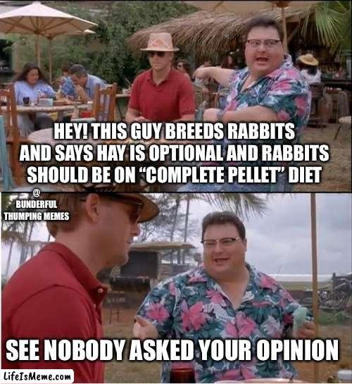 rabbit breeder | HEY! THIS GUY BREEDS RABBITS AND SAYS HAY IS OPTIONAL AND RABBITS SHOULD BE ON “COMPLETE PELLET” DIET; @ BUNDERFUL THUMPING MEMES; SEE NOBODY ASKED YOUR OPINION | image tagged in memes,see nobody cares | made w/ Lifeismeme meme maker