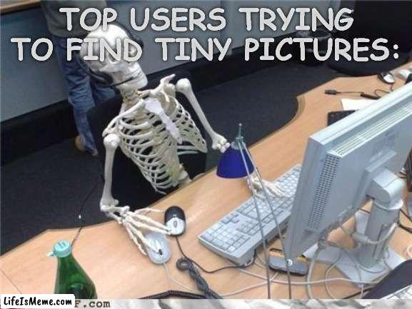 it takes me this long at least | TOP USERS TRYING TO FIND TINY PICTURES: | image tagged in waiting skeleton,memes,funny,gifs,not really a gif | made w/ Lifeismeme meme maker