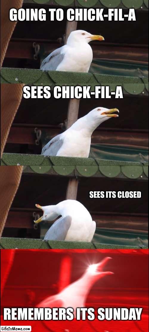 Who has this happened to it happened to me then I went to McDonald’s | GOING TO CHICK-FIL-A; SEES CHICK-FIL-A; SEES ITS CLOSED; REMEMBERS ITS SUNDAY | image tagged in memes,inhaling seagull | made w/ Lifeismeme meme maker