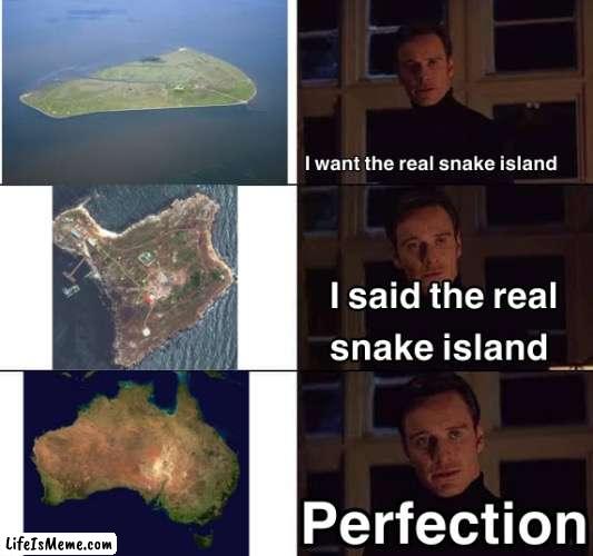 Australia is an island full of snakes | image tagged in memes,australia,snake | made w/ Lifeismeme meme maker