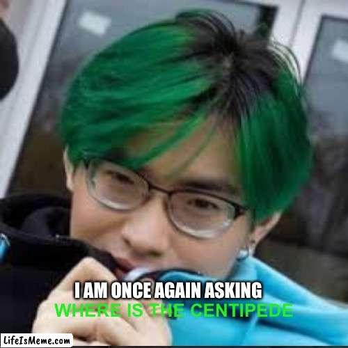 i DoNt kNoW wHeRe | I AM ONCE AGAIN ASKING; WHERE IS THE CENTIPEDE | image tagged in bernie i am once again asking for your support | made w/ Lifeismeme meme maker