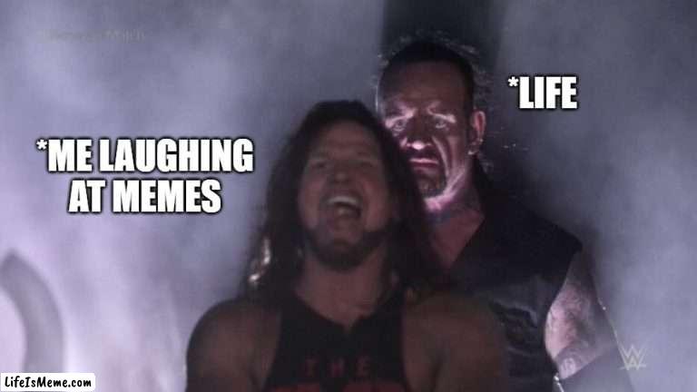 AJ Styles & Undertaker | *LIFE; *ME LAUGHING AT MEMES | image tagged in aj styles undertaker | made w/ Lifeismeme meme maker