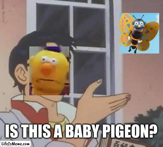 is this a baby pigeon? | IS THIS A BABY PIGEON? | image tagged in memes,is this a pigeon | made w/ Lifeismeme meme maker