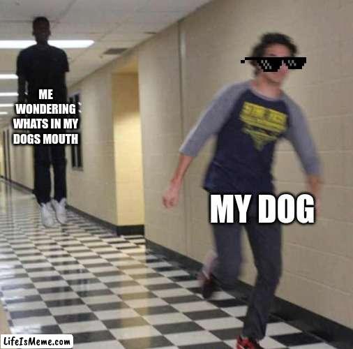 JUST STAY LIKE A GOOD BOY | ME WONDERING WHATS IN MY DOGS MOUTH; MY DOG | image tagged in floating boy chasing running boy,dog | made w/ Lifeismeme meme maker