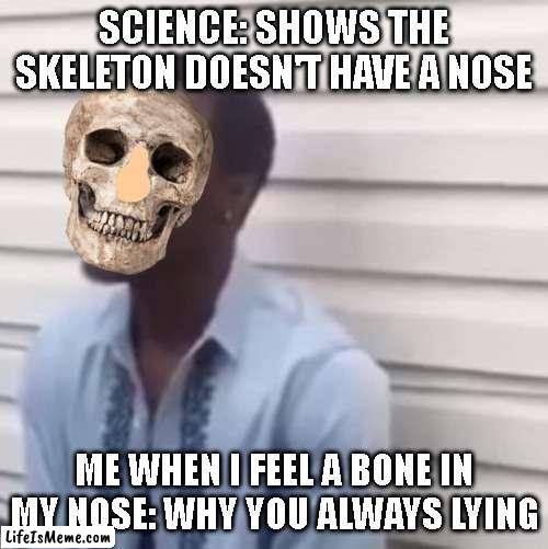 SKELETONS HAVE NOSES | SCIENCE: SHOWS THE SKELETON DOESN'T HAVE A NOSE; ME WHEN I FEEL A BONE IN MY NOSE: WHY YOU ALWAYS LYING | image tagged in why you always lying,skeleton,spooktober,spooky month,october | made w/ Lifeismeme meme maker