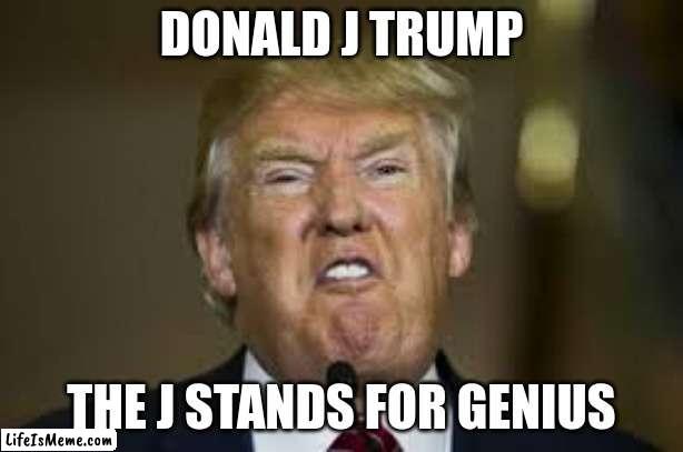 Donald j trump the j stands for genius | DONALD J TRUMP; THE J STANDS FOR GENIUS | image tagged in funny memes,donald trump | made w/ Lifeismeme meme maker