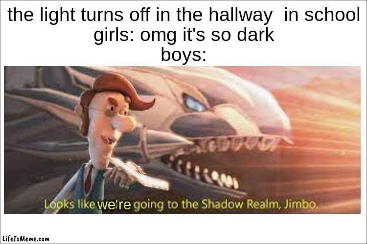 to the shadow realm | the light turns off in the hallway  in school
girls: omg it's so dark
boys:; we're | image tagged in school,meme,shadow realm | made w/ Lifeismeme meme maker