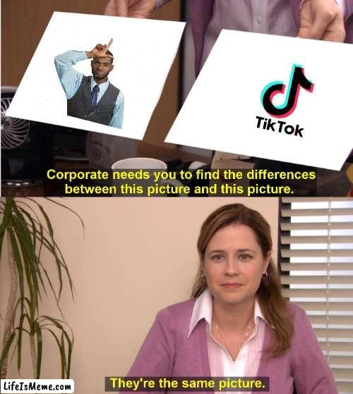 tik tok is for loosers | image tagged in memes,they're the same picture | made w/ Lifeismeme meme maker