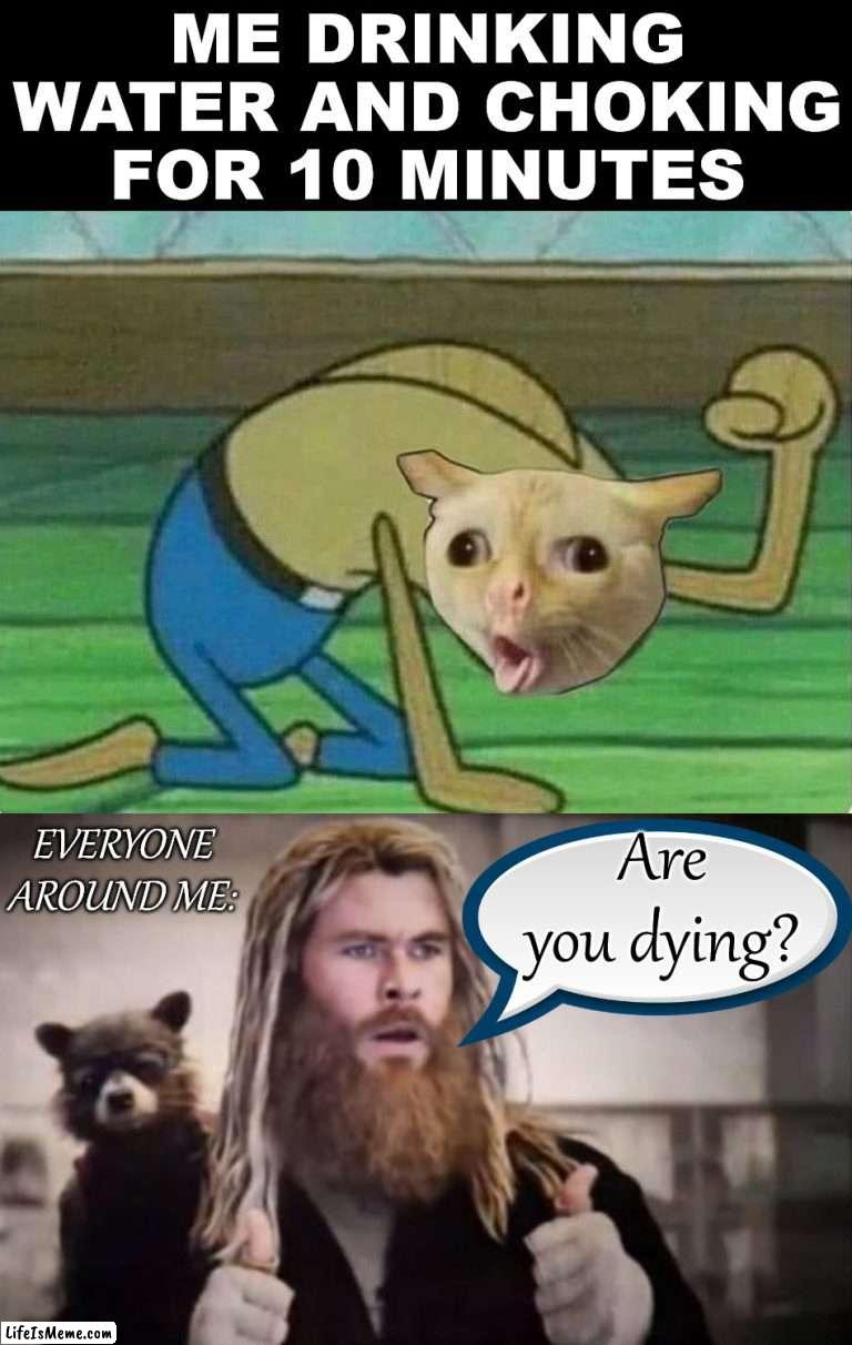 Who else chokes on water every day? | ME DRINKING WATER AND CHOKING FOR 10 MINUTES; EVERYONE AROUND ME:; Are you dying? | image tagged in impressed thor,choking,water,what is wrong with you | made w/ Lifeismeme meme maker