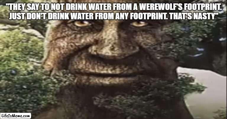 advice from the tree | "THEY SAY TO NOT DRINK WATER FROM A WEREWOLF'S FOOTPRINT. JUST DON'T DRINK WATER FROM ANY FOOTPRINT. THAT'S NASTY" | image tagged in wise mystical tree,memes,footprint | made w/ Lifeismeme meme maker