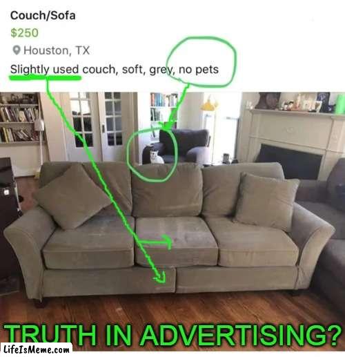 It is a 'couch' & it does look 'soft'.... | TRUTH IN ADVERTISING? | image tagged in fun,advertising,the truth hurts,ads,false advertising,lol | made w/ Lifeismeme meme maker