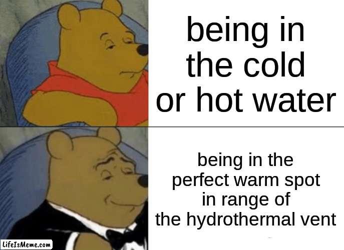 goofy ahh for school | being in the cold or hot water; being in the perfect warm spot in range of the hydrothermal vent | image tagged in memes,tuxedo winnie the pooh | made w/ Lifeismeme meme maker