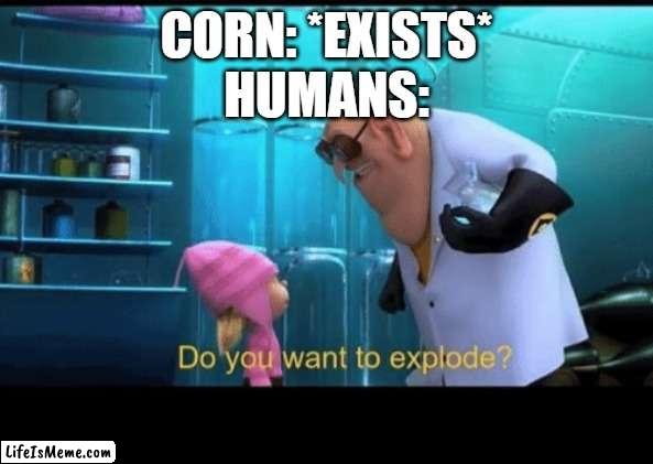 popcorn | CORN: *EXISTS*
HUMANS: | image tagged in do you want to explode,corn,popcorn | made w/ Lifeismeme meme maker