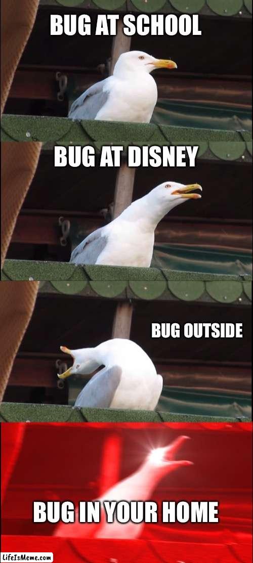 bugs | BUG AT SCHOOL; BUG AT DISNEY; BUG OUTSIDE; BUG IN YOUR HOME | image tagged in memes,inhaling seagull | made w/ Lifeismeme meme maker