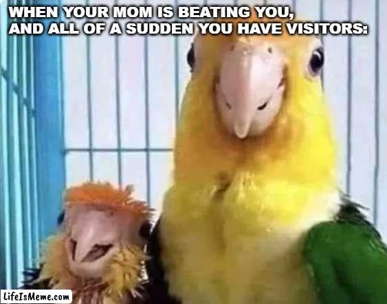 Sometimes the best title is no title | WHEN YOUR MOM IS BEATING YOU, AND ALL OF A SUDDEN YOU HAVE VISITORS: | image tagged in oof | made w/ Lifeismeme meme maker