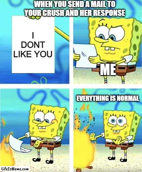 response from a crush | WHEN YOU SEND A MAIL TO YOUR CRUSH AND HER RESPONSE; I DONT LIKE YOU; ME; EVERYTHING IS NORMAL | image tagged in spongebob burning paper | made w/ Lifeismeme meme maker