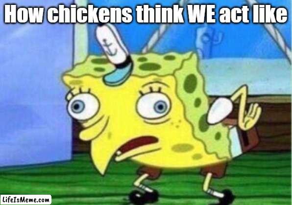 chicken | How chickens think WE act like | image tagged in memes,mocking spongebob | made w/ Lifeismeme meme maker