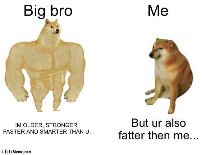 Meme woth big bro | Big bro; Me; IM OLDER, STRONGER, FASTER AND SMARTER THAN U. But ur also fatter then me... | image tagged in memes,buff doge vs cheems | made w/ Lifeismeme meme maker