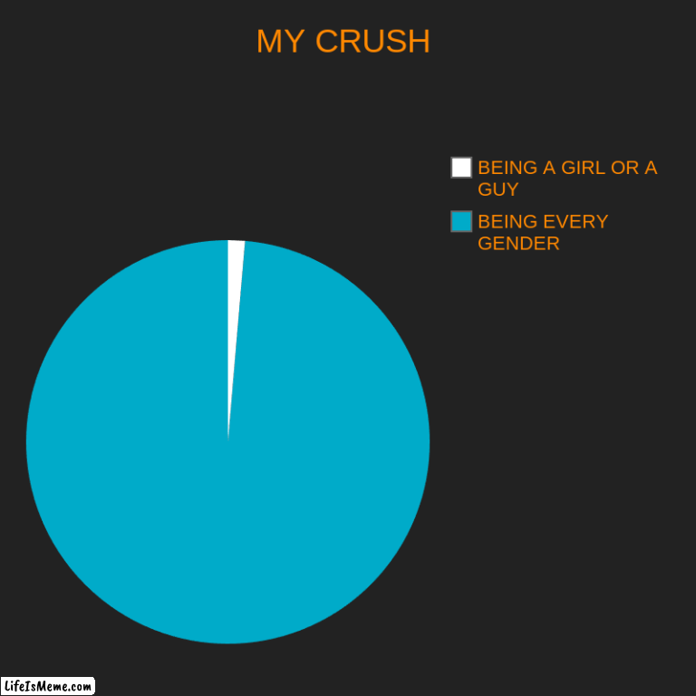 MY CRUSH | MY CRUSH | BEING EVERY GENDER, BEING A GIRL OR A GUY | image tagged in charts,pie charts | made w/ Lifeismeme chart maker