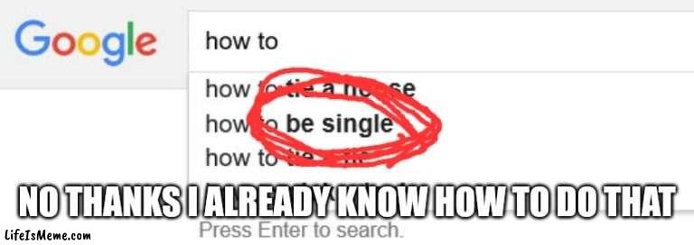 Google Search | NO THANKS I ALREADY KNOW HOW TO DO THAT | image tagged in google search | made w/ Lifeismeme meme maker