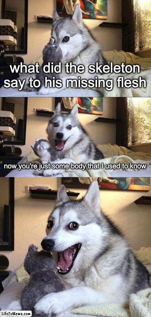 spooktober/music joke | what did the skeleton say to his missing flesh; now you're just some body that I used to know | image tagged in memes,bad pun dog | made w/ Lifeismeme meme maker