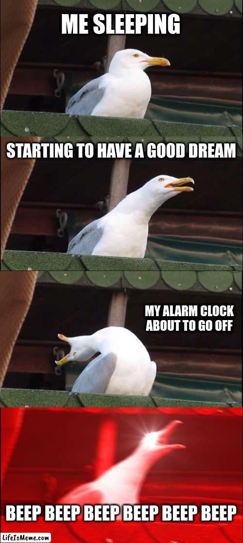 STUPID ALARM CLOCK | ME SLEEPING; STARTING TO HAVE A GOOD DREAM; MY ALARM CLOCK ABOUT TO GO OFF; BEEP BEEP BEEP BEEP BEEP BEEP | image tagged in memes,inhaling seagull | made w/ Lifeismeme meme maker