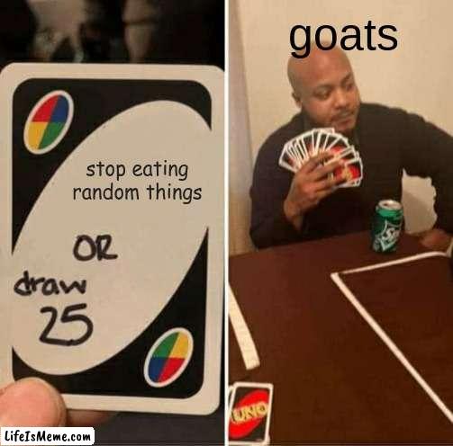 goats be like | goats; stop eating random things | image tagged in memes,uno draw 25 cards | made w/ Lifeismeme meme maker