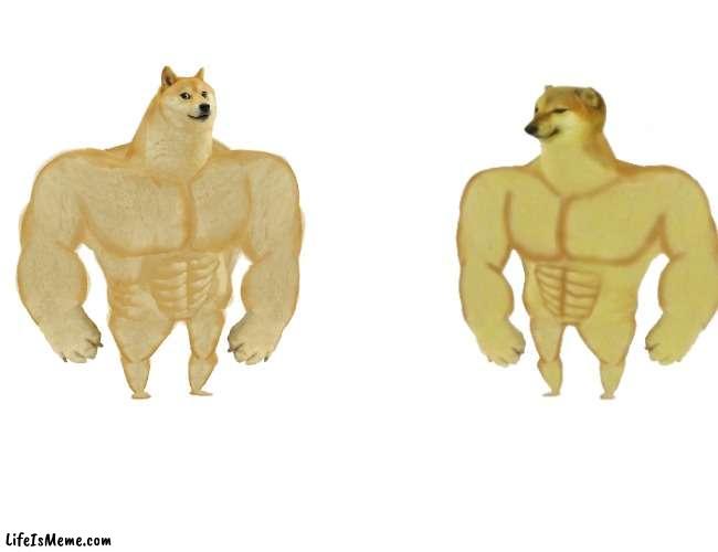 Cheems buff | image tagged in memes,buff doge vs cheems | made w/ Lifeismeme meme maker