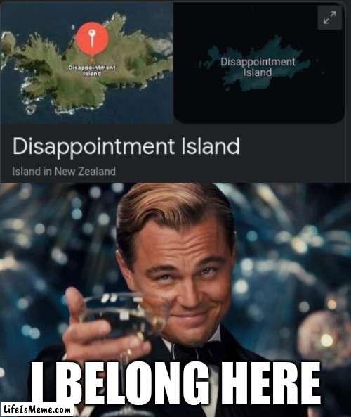 I belong here | I BELONG HERE | image tagged in memes,leonardo dicaprio cheers | made w/ Lifeismeme meme maker