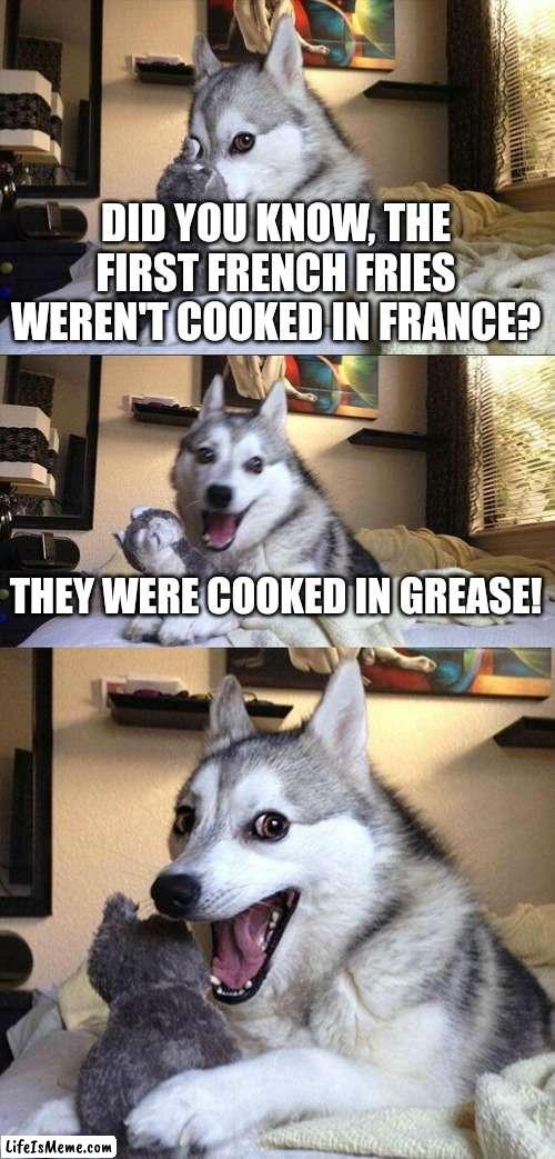 Bad dad joke | DID YOU KNOW, THE FIRST FRENCH FRIES WEREN'T COOKED IN FRANCE? THEY WERE COOKED IN GREASE! | image tagged in memes,bad pun dog | made w/ Lifeismeme meme maker