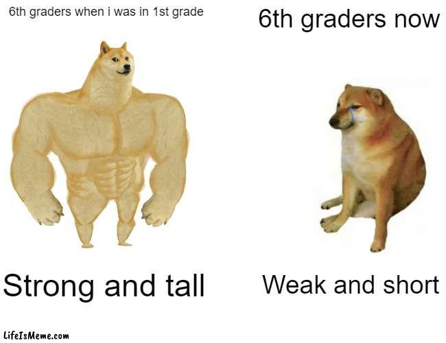 same grade, different times | 6th graders when i was in 1st grade; 6th graders now; Strong and tall; Weak and short | image tagged in memes,buff doge vs cheems | made w/ Lifeismeme meme maker