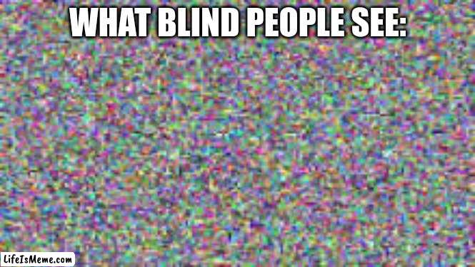 is this true?? | WHAT BLIND PEOPLE SEE: | image tagged in funny memes | made w/ Lifeismeme meme maker