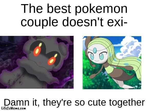 Did you say the perfect Pokémon couple didn't exist? Think again! | The best pokemon couple doesn't exi-; Damn it, they're so cute together | image tagged in marshadow,meloetta,shipping,otp,pokemon,anime | made w/ Lifeismeme meme maker