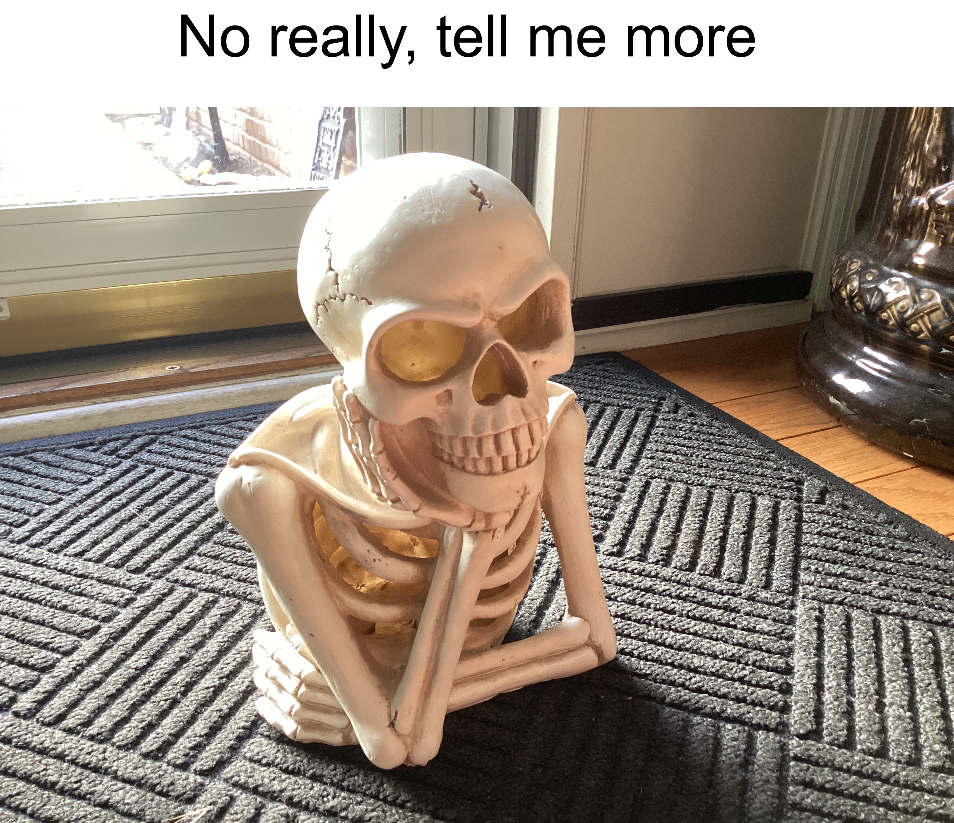 I have this in my house | No really, tell me more | image tagged in memes,funny,halloween,spooky month,skeleton,spooky scary skeleton | made w/ Lifeismeme meme maker