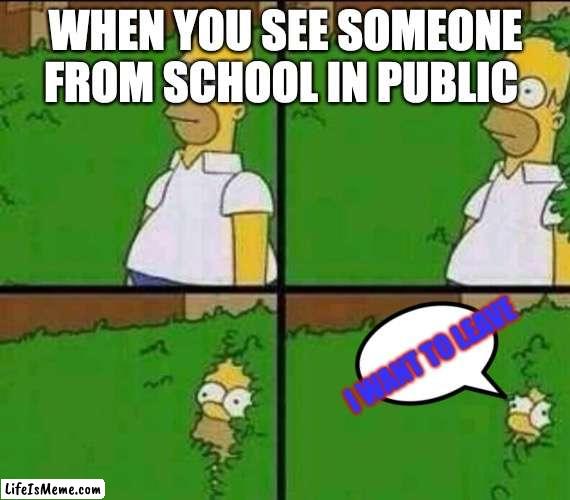We did this before......... | WHEN YOU SEE SOMEONE FROM SCHOOL IN PUBLIC; I WANT TO LEAVE | image tagged in homer simpson in bush - large,school,funny memes,relatable memes | made w/ Lifeismeme meme maker