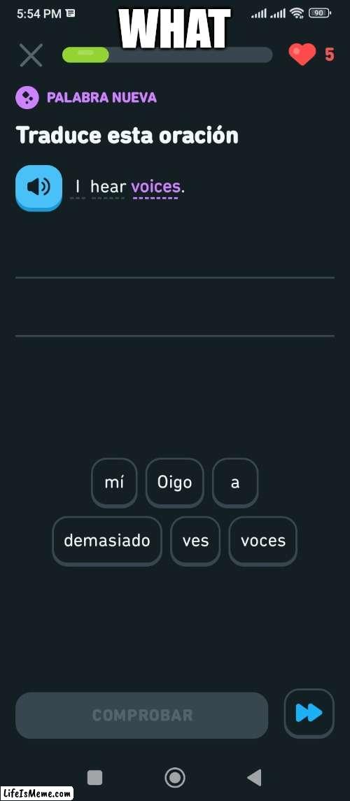 Duolingo what are u talking about | WHAT | image tagged in meme,duolingo,funny | made w/ Lifeismeme meme maker