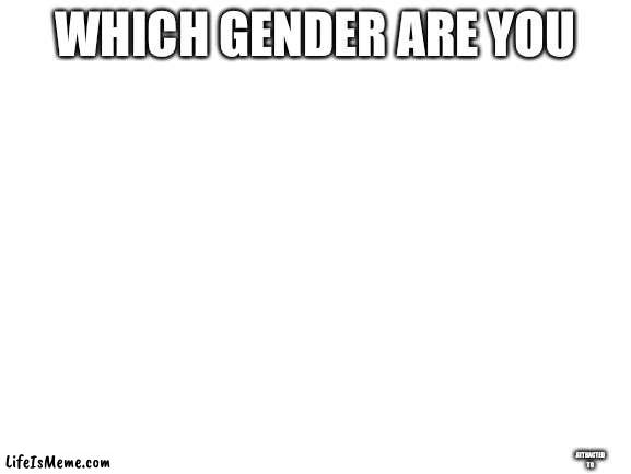 we do a tiny bit of tomfoolery | WHICH GENDER ARE YOU; ATTRACTED TO | image tagged in blank white template | made w/ Lifeismeme meme maker