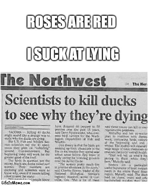gosh i really wonder y they r dying | ROSES ARE RED; I SUCK AT LYING | image tagged in memes,blank transparent square,funny,idiots,stupid people,news | made w/ Lifeismeme meme maker