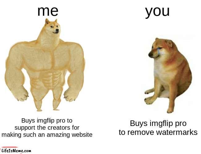 the difference between you and I | me; you; Buys imgflip pro to support the creators for making such an amazing website; Buys imgflip pro to remove watermarks | image tagged in memes,buff doge vs cheems | made w/ Lifeismeme meme maker