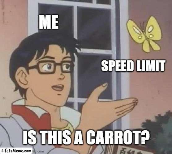 AI doesn't know what carrots OR a speed limit is/are | ME; SPEED LIMIT; IS THIS A CARROT? | image tagged in memes,is this a pigeon | made w/ Lifeismeme meme maker