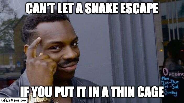 Snake Trap | CAN'T LET A SNAKE ESCAPE; IF YOU PUT IT IN A THIN CAGE | image tagged in memes,roll safe think about it,snakes,snake trap,cages | made w/ Lifeismeme meme maker