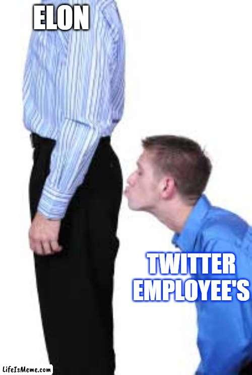 Elons first day at Twitter | ELON; TWITTER EMPLOYEE'S | image tagged in elon musk,elon musk laughing,elon musk buying twitter,twitter,twitter birds says,funny because it's true | made w/ Lifeismeme meme maker