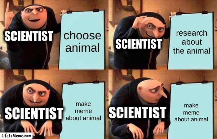 Gru's Plan Scientist in 1700's | choose animal; research about the animal; SCIENTIST; SCIENTIST; make meme about animal; make meme about animal; SCIENTIST; SCIENTIST | image tagged in memes,gru's plan | made w/ Lifeismeme meme maker
