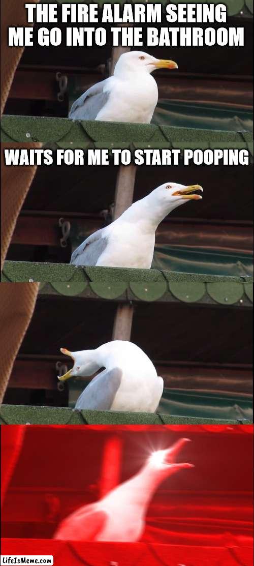 Fire alarm | THE FIRE ALARM SEEING ME GO INTO THE BATHROOM; WAITS FOR ME TO START POOPING | image tagged in memes,inhaling seagull | made w/ Lifeismeme meme maker