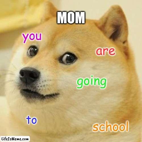 Moms when you wake up | MOM; you; are; going; to; school | image tagged in memes,doge,mom,school,sleep,dog | made w/ Lifeismeme meme maker