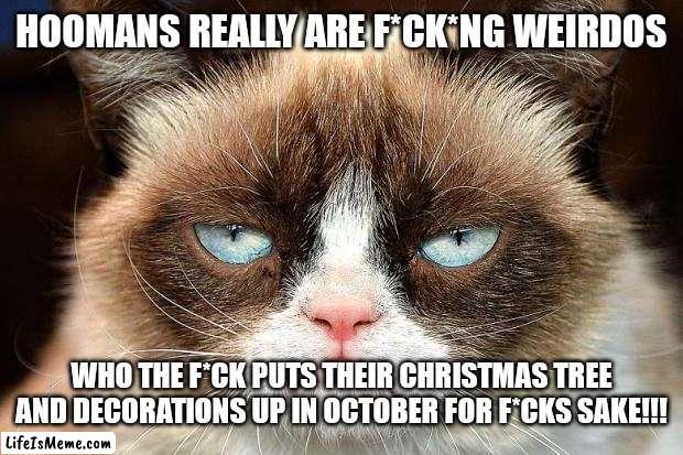 Grumpy Cat Not Amused Meme | HOOMANS REALLY ARE F*CK*NG WEIRDOS; WHO THE F*CK PUTS THEIR CHRISTMAS TREE AND DECORATIONS UP IN OCTOBER FOR F*CKS SAKE!!! | image tagged in memes,grumpy cat not amused,grumpy cat | made w/ Lifeismeme meme maker