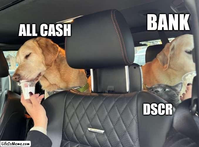 Real estate buyers | BANK; ALL CASH; DSCR | image tagged in cat,dog | made w/ Lifeismeme meme maker